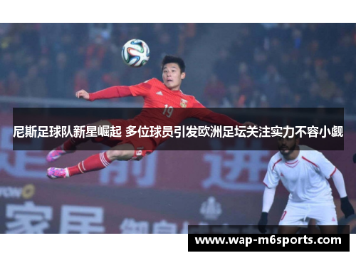 尼斯足球队新星崛起 多位球员引发欧洲足坛关注实力不容小觑