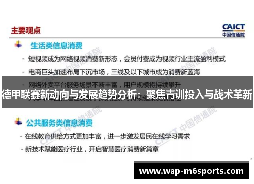 德甲联赛新动向与发展趋势分析：聚焦青训投入与战术革新