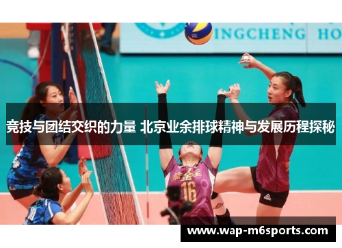 竞技与团结交织的力量 北京业余排球精神与发展历程探秘