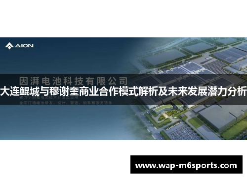 大连鲲城与穆谢奎商业合作模式解析及未来发展潜力分析