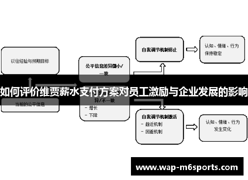如何评价维贾薪水支付方案对员工激励与企业发展的影响