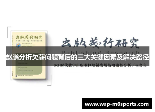 赵鹏分析欠薪问题背后的三大关键因素及解决路径