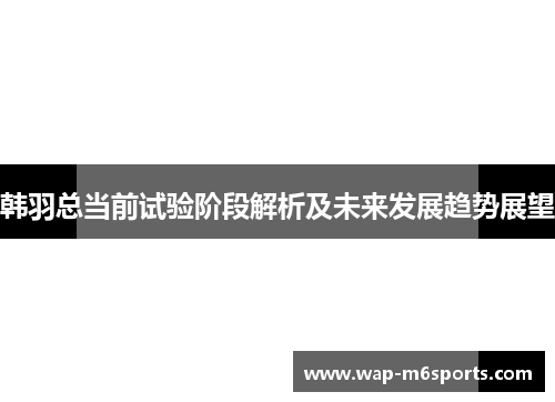 韩羽总当前试验阶段解析及未来发展趋势展望