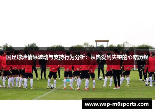 国足球迷情感波动与支持行为分析：从热爱到失望的心路历程