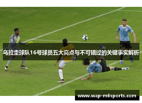 乌拉圭球队16号球员五大亮点与不可错过的关键事实解析